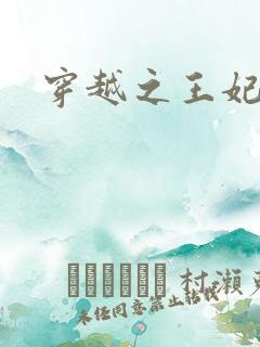 穿越之王妃有孕