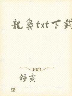 龙枭txt下载