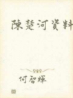 陈楚河资料