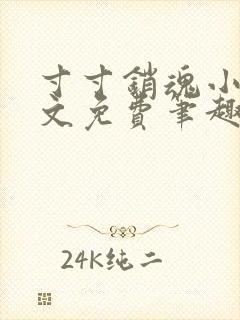 寸寸销魂小说全文免费笔趣阁