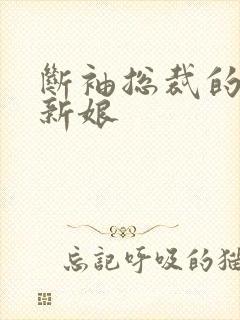 断袖总裁的落跑新娘