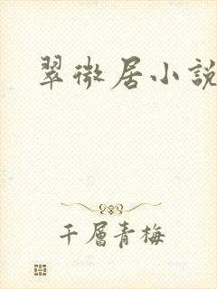 翠微居小说