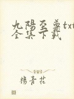 九阳至尊txt全集下载