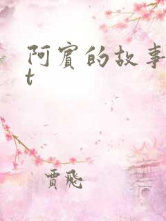 阿宾的故事txt
