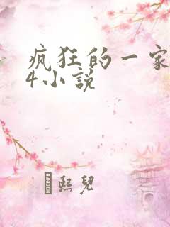 疯狂的一家PS4小说