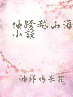他跨越山海而来小说