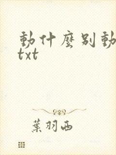 动什么别动感情txt