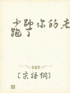 少帅你的老婆又跑了