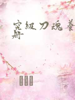 究级刀魂养成手册