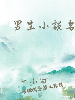 男生小说名字