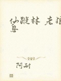 仙踪林 老狼信息