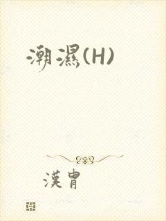 潮湿(H)