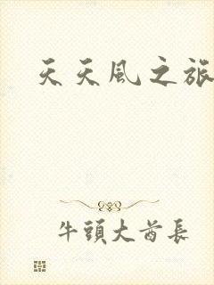 天天风之旅辅助