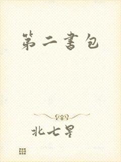 第二书包