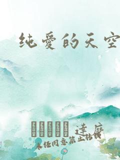 纯爱的天空