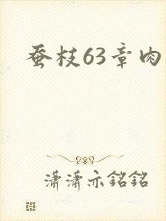 蚕枝63章肉