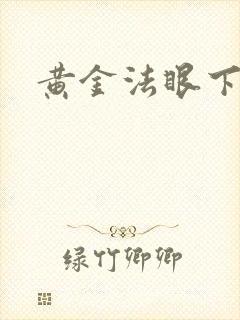 黄金法眼下载