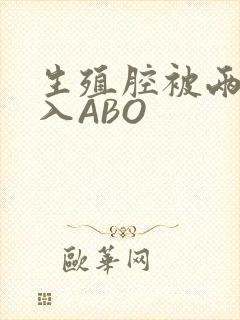 生殖腔被两根进入ABO