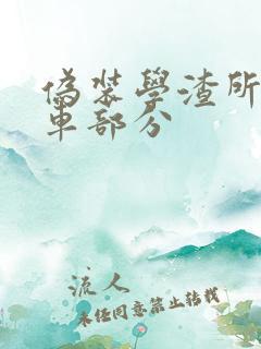 伪装学渣所有开车部分