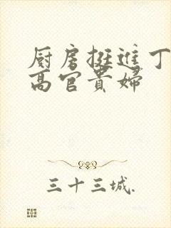 厨房挺进丁字裤高官贵妇