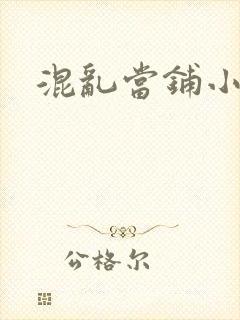 混乱当铺小说