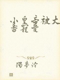 小皇帝被大臣轮番宠爱