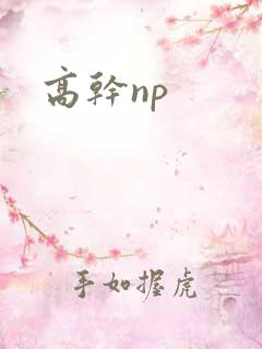 高干np