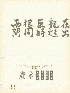 两根巨龙在她腿间同时进出