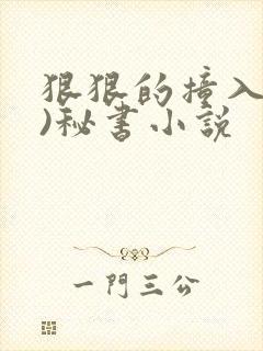 狠狠的撞入(h)秘书小说