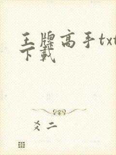 王牌高手txt下载