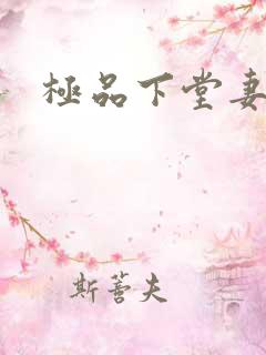 极品下堂妻