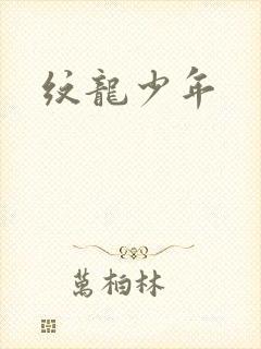 纹龙少年