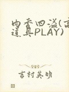 肉香四溢(高H道具PLAY)