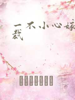 一不小心嫁给总裁