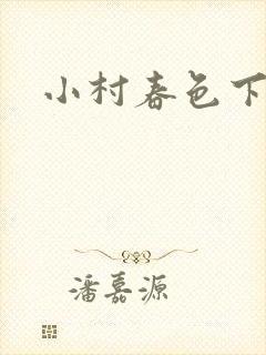 小村春色下载