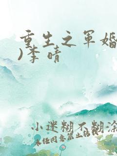 重生之军婚(h)李晴