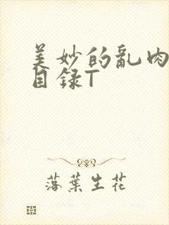 美妙的乱肉沉沦目录T