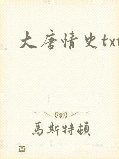 大唐情史txt