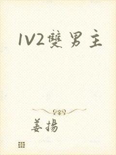 1V2双男主