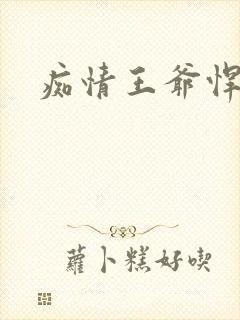 痴情王爷悍王妃