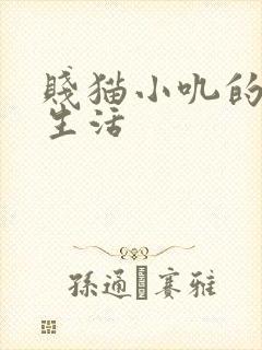 贱猫小叽的幸福生活