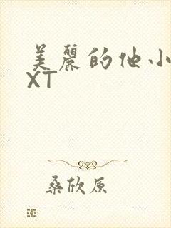 美丽的他小说TXT