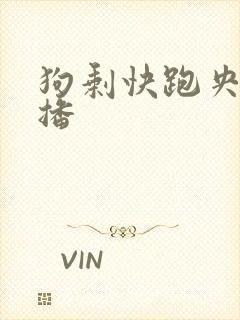 狗剩快跑央八首播