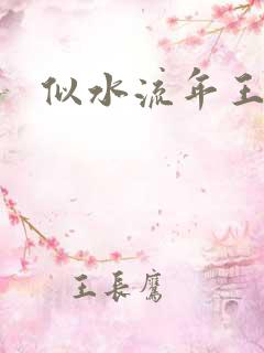 似水流年王小波