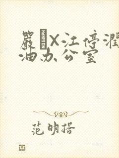严峫X江停润滑油办公室