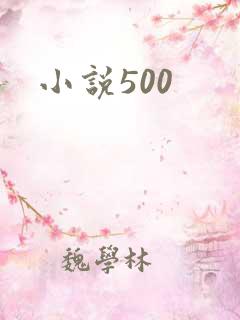 小说500