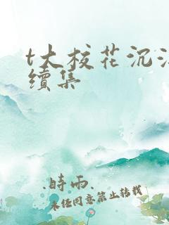 t大校花沉浮录续集