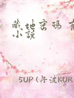 藏地密码 有声小说