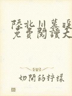 陆北川慕暖全文免费阅读大结局