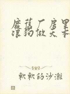 废旧厂房里和流浪狗做天本